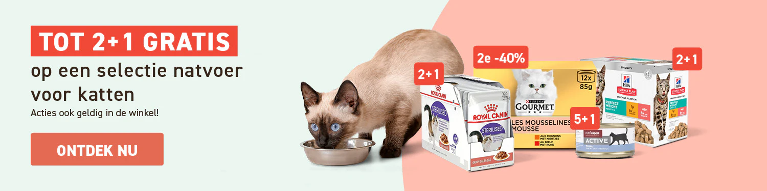 Natvoer katten