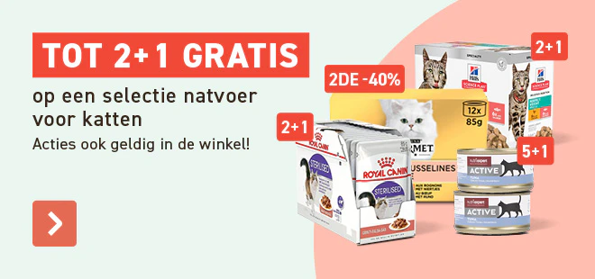 Natvoer katten