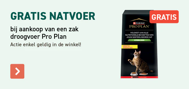 Purviso