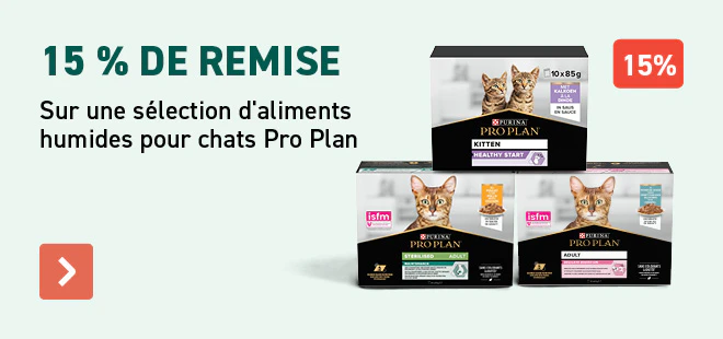15% Pro Plan