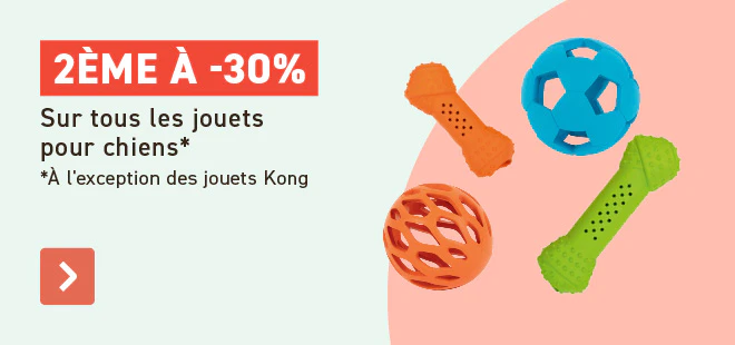 Festival des jouets