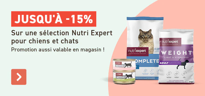 Nutri expert