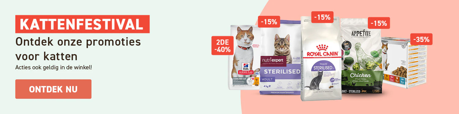 Kattenfestival