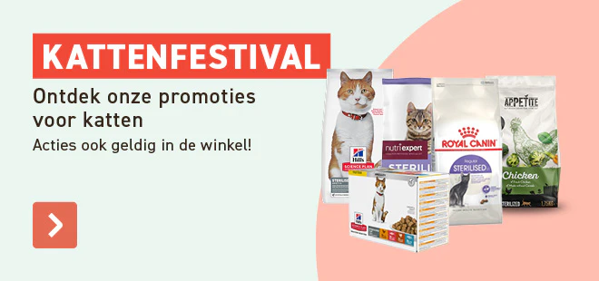 Kattenfestival