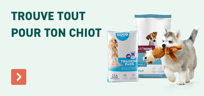 Trouve tout pour ton chiot