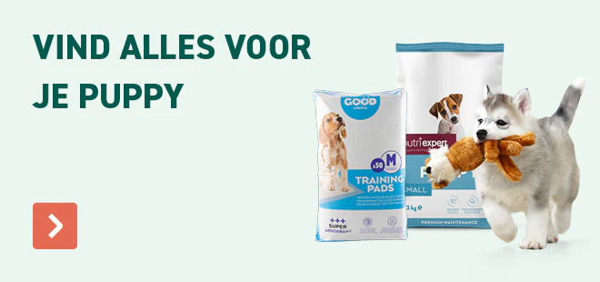 Vind alles voor je puppy