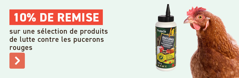 promotions oiseaux