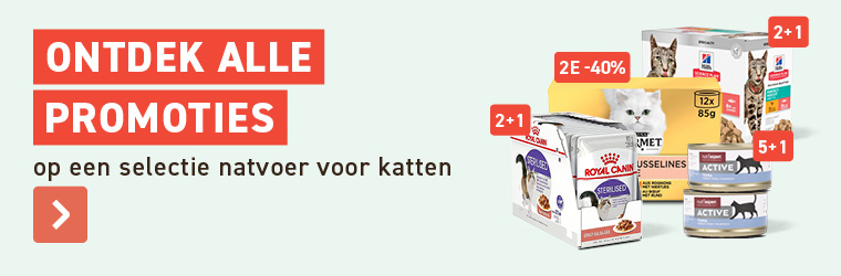 Natvoer katten