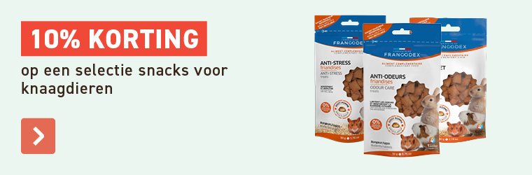 snacks knaagdieren