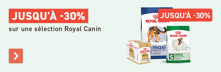 Royal Canin