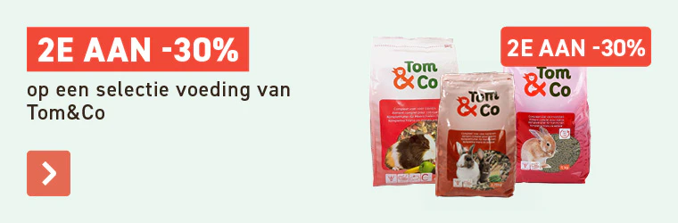 Tom&Co Knaagdieren