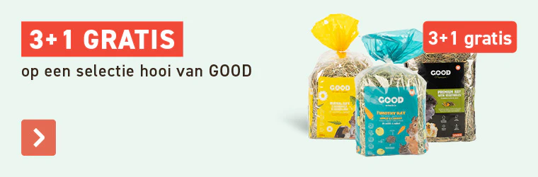 Hooi GOOD