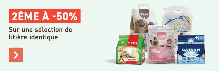 Festival de liti&egrave;res