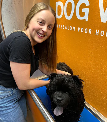 Dogwash