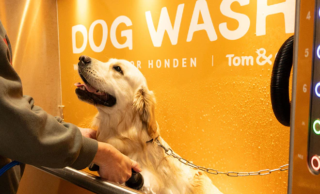 Comment laver mon chien?