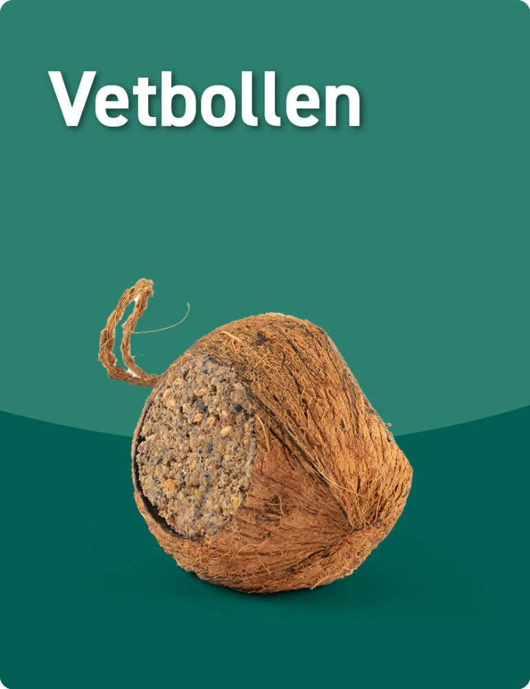 Good Vetbollen 