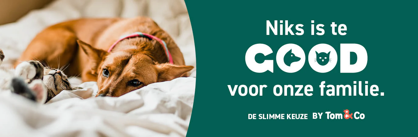 Nutri expert - de evenwichtige keuze 