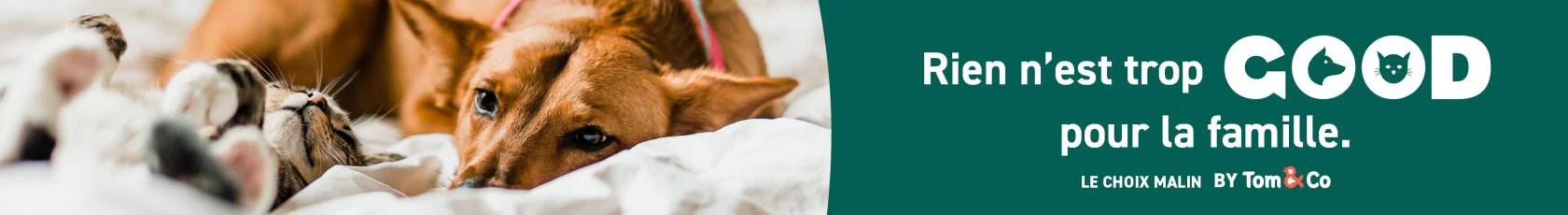 Good, le choix malin pour un animal en bonne sant&eacute;