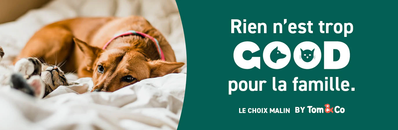 Good, le choix malin pour un animal en bonne sant&eacute;