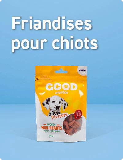 Friandises pour chiots
