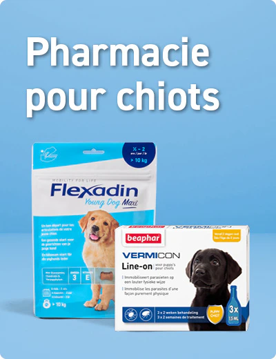 Pharmacie pour chiots