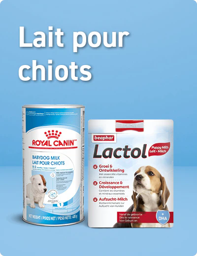 lait pour chiots