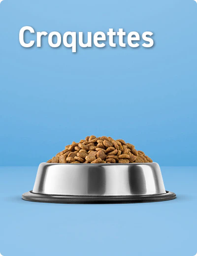 Croquettes chiot