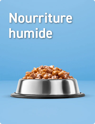 Nurriture Humide Chiot