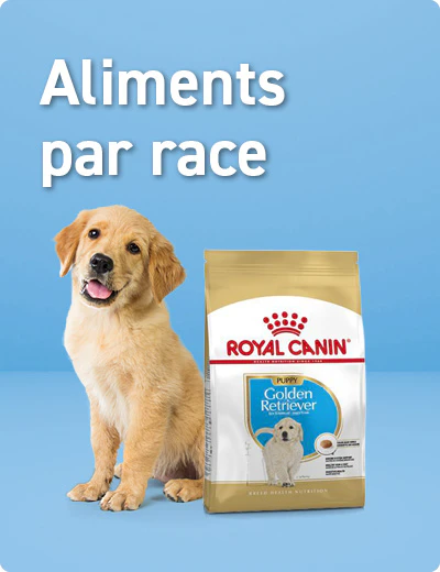 Alimentation de races Chiot