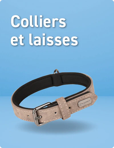 Colliers pout chiots