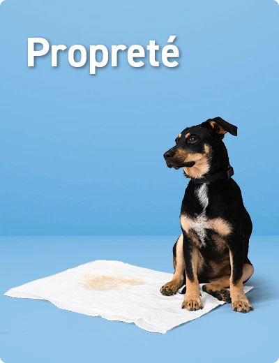 Propret&eacute; Chiot