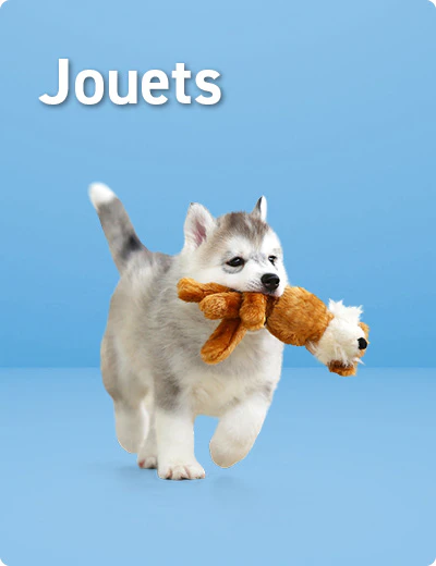 Jouets pour chiots