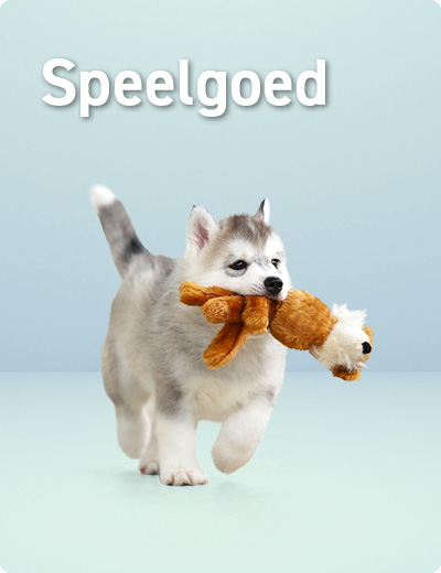 Speelgoed voor puppies