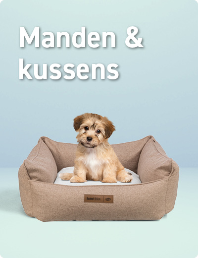 Manden & kussens voor puppy