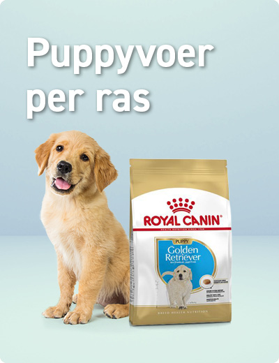 Rasvoer Puppy