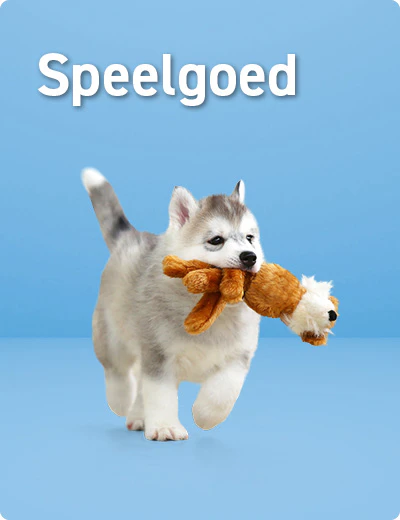 Speelgoed voor puppies