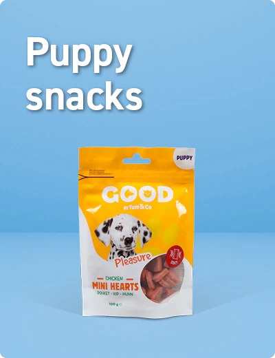 Snacks voor puppies