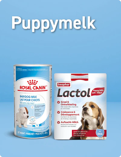Alles voor puppy