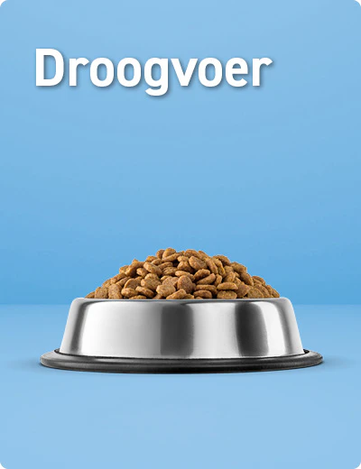 Droogvoer puppy