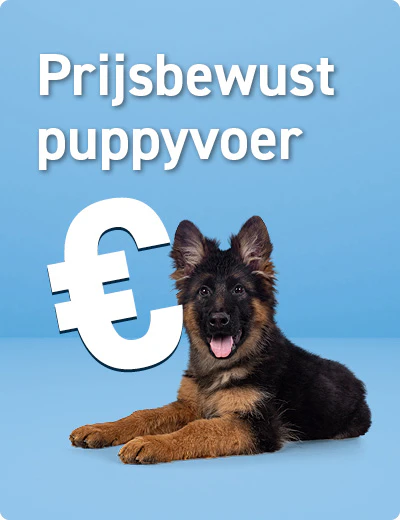 Prijsbewust puppyvoer