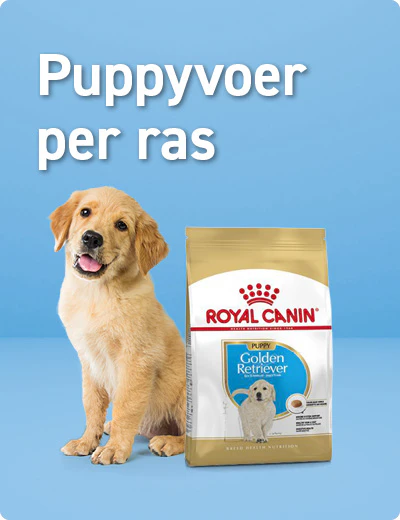 Rasvoer Puppy