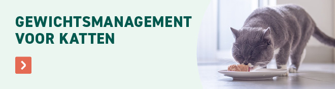 ontdek alle gewichtsvoeding voor katten