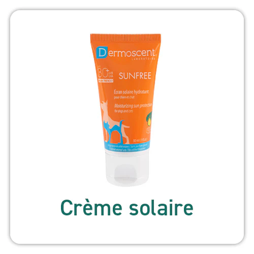 Zonnecr&egrave;me