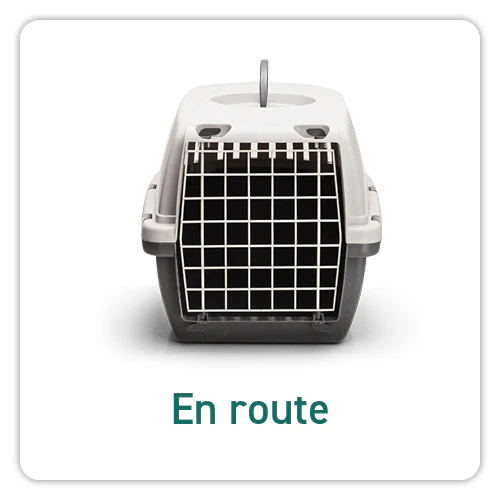 Reisaccessoires