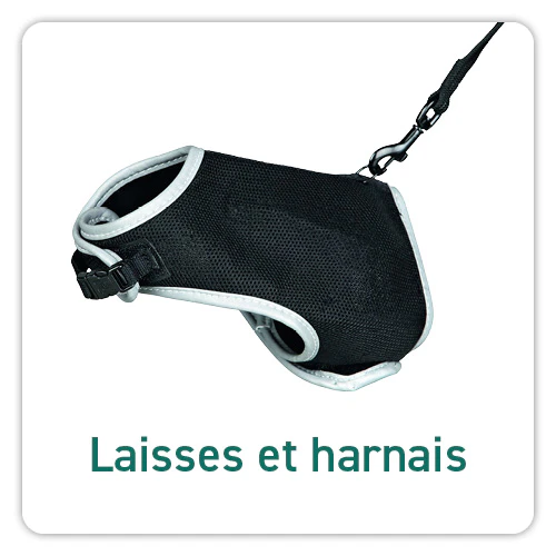Hals- & leibanden voor katten