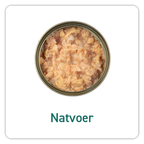 Natvoer katten