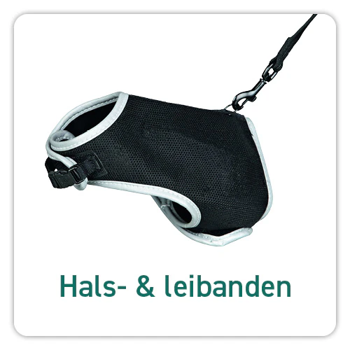 Hals- & leibanden voor katten