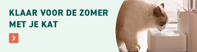 Zomer kat