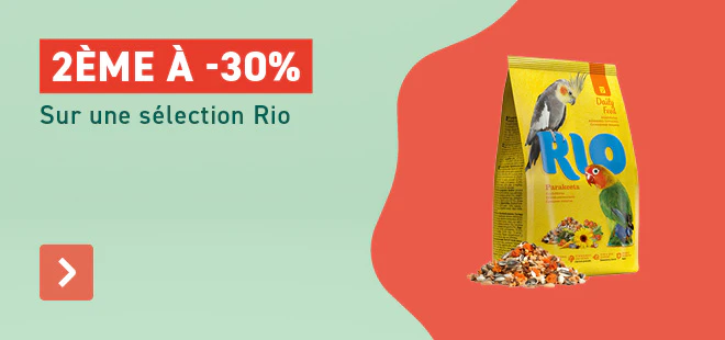 2e -30% Rio