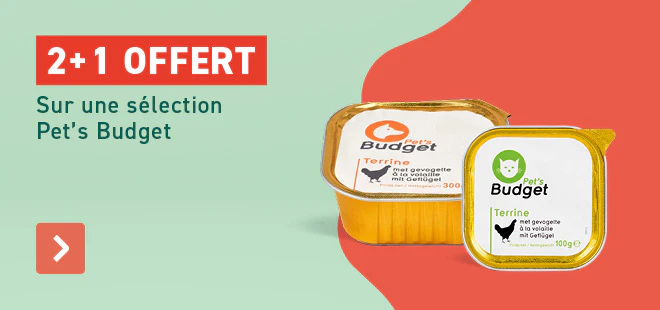 1+1 Pet's Budget